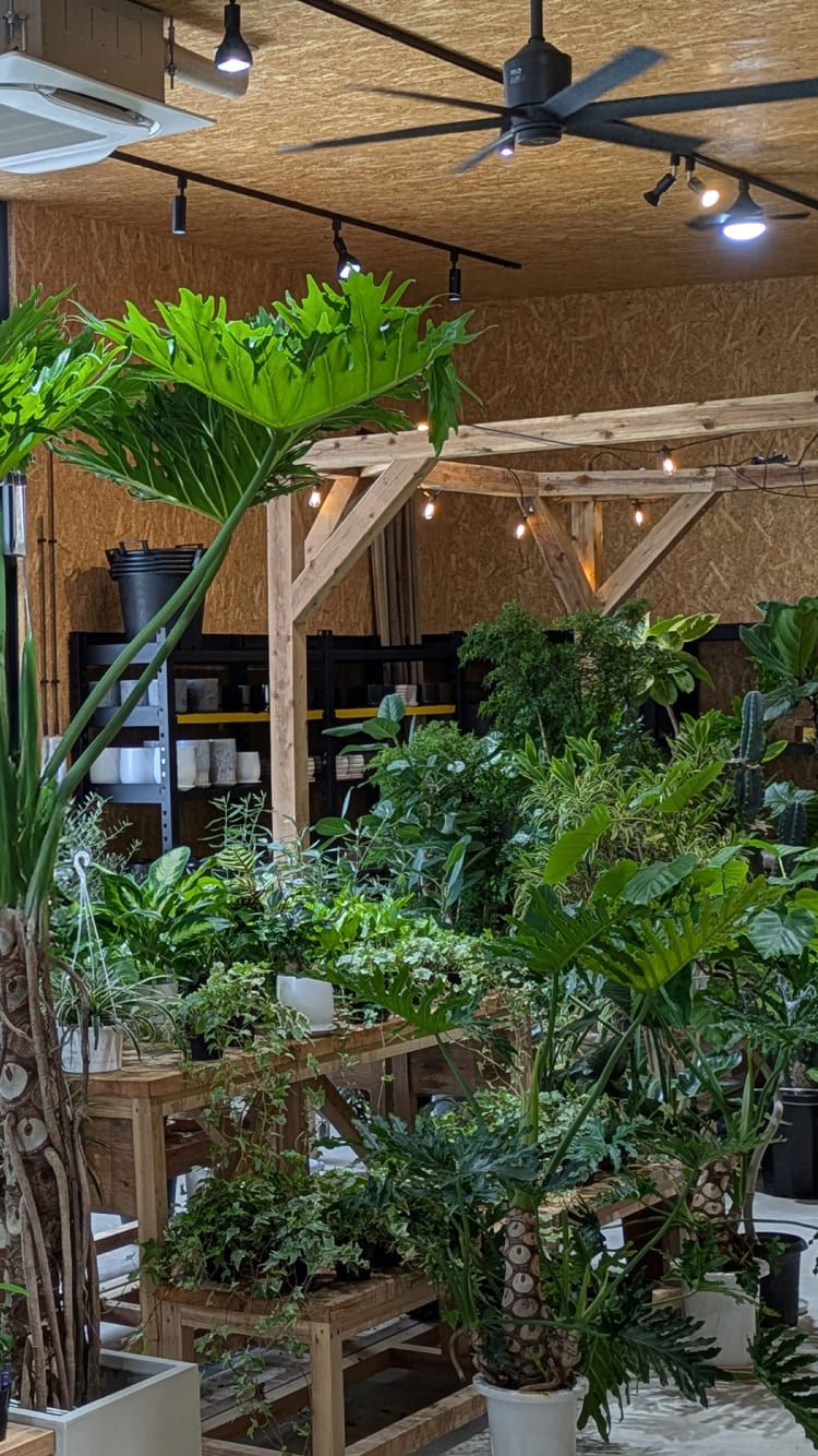 メインビジュアル2枚目